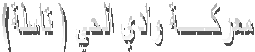 (معركــــــة وادي الحي ( تاسلة
